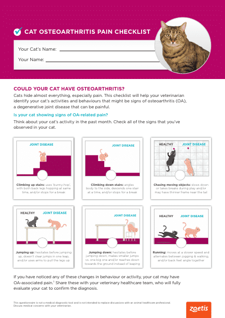 Cat Osteoarthritis Pain Checklist