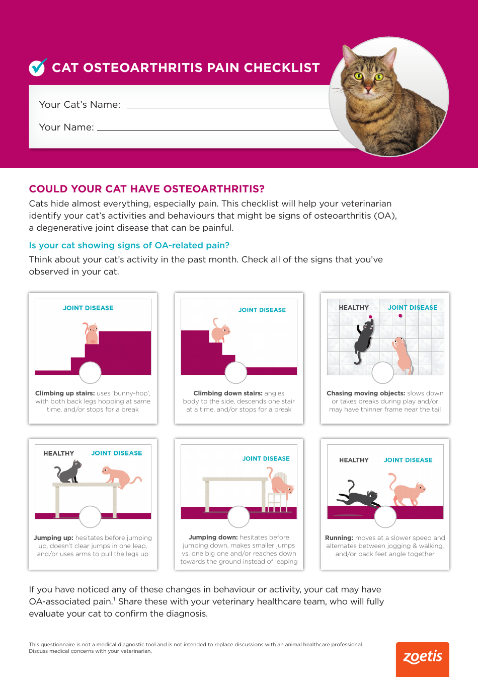 Cat Osteoarthritis Pain Checklist Download Printable PDF | Templateroller