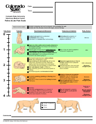 Document preview: Feline Acute Pain Scale