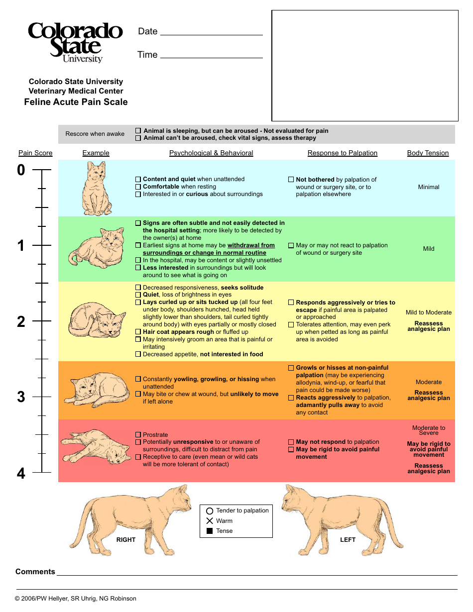 Feline Acute Pain Scale Download Printable PDF | Templateroller