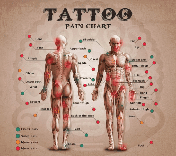 Tattoo Pain Chart - Brown