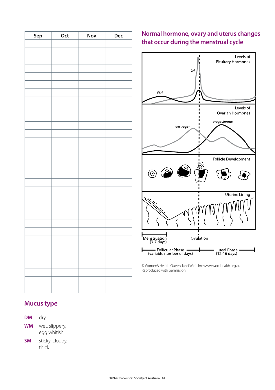 Menstrual Chart, Page 3