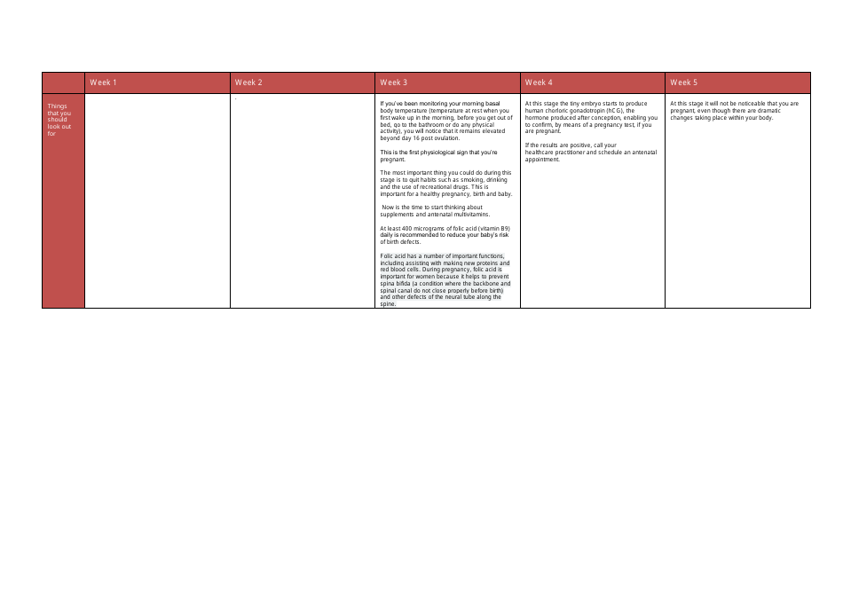 Pregnancy Week-By-Week Guide - Weeks 1 to 20, Page 2