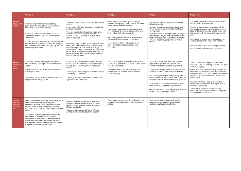 Pregnancy Week-By-Week Guide - Weeks 1 to 20, Page 3