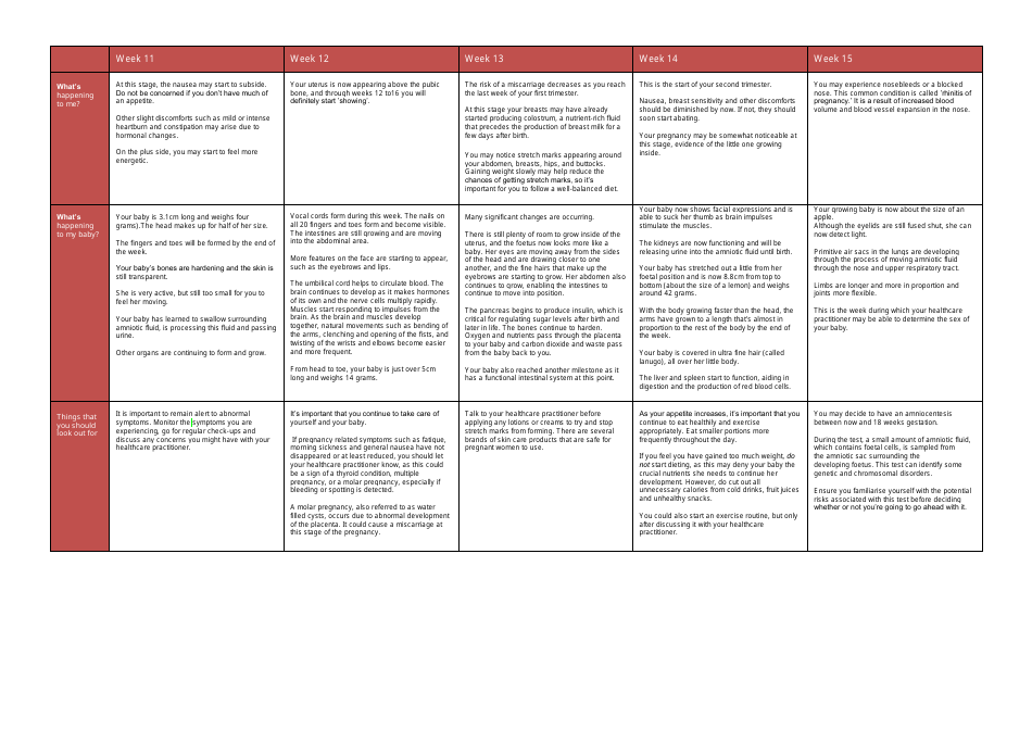 Pregnancy Week-By-Week Guide - Weeks 1 to 20, Page 4
