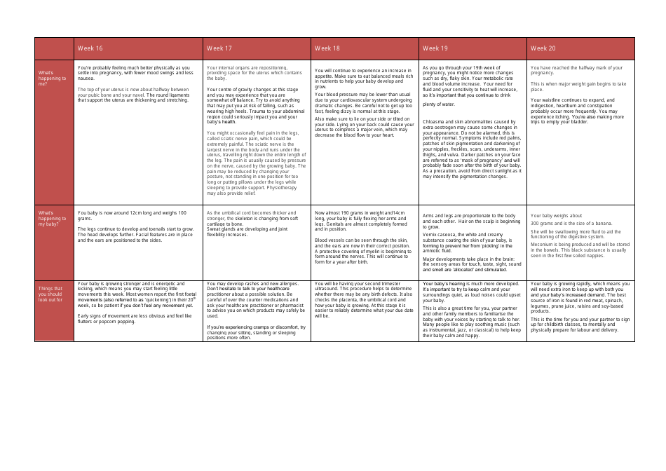 Pregnancy Week-By-Week Guide - Weeks 1 to 20, Page 5