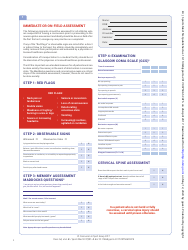 Sport Concussion Assessment Tool (Scat5) - Concussion in Sport Group, Page 2