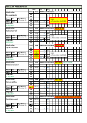 Sample Prescription Chart With Omissions and Errors, Page 11