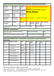 Sample Prescription Chart With Omissions and Errors, Page 9