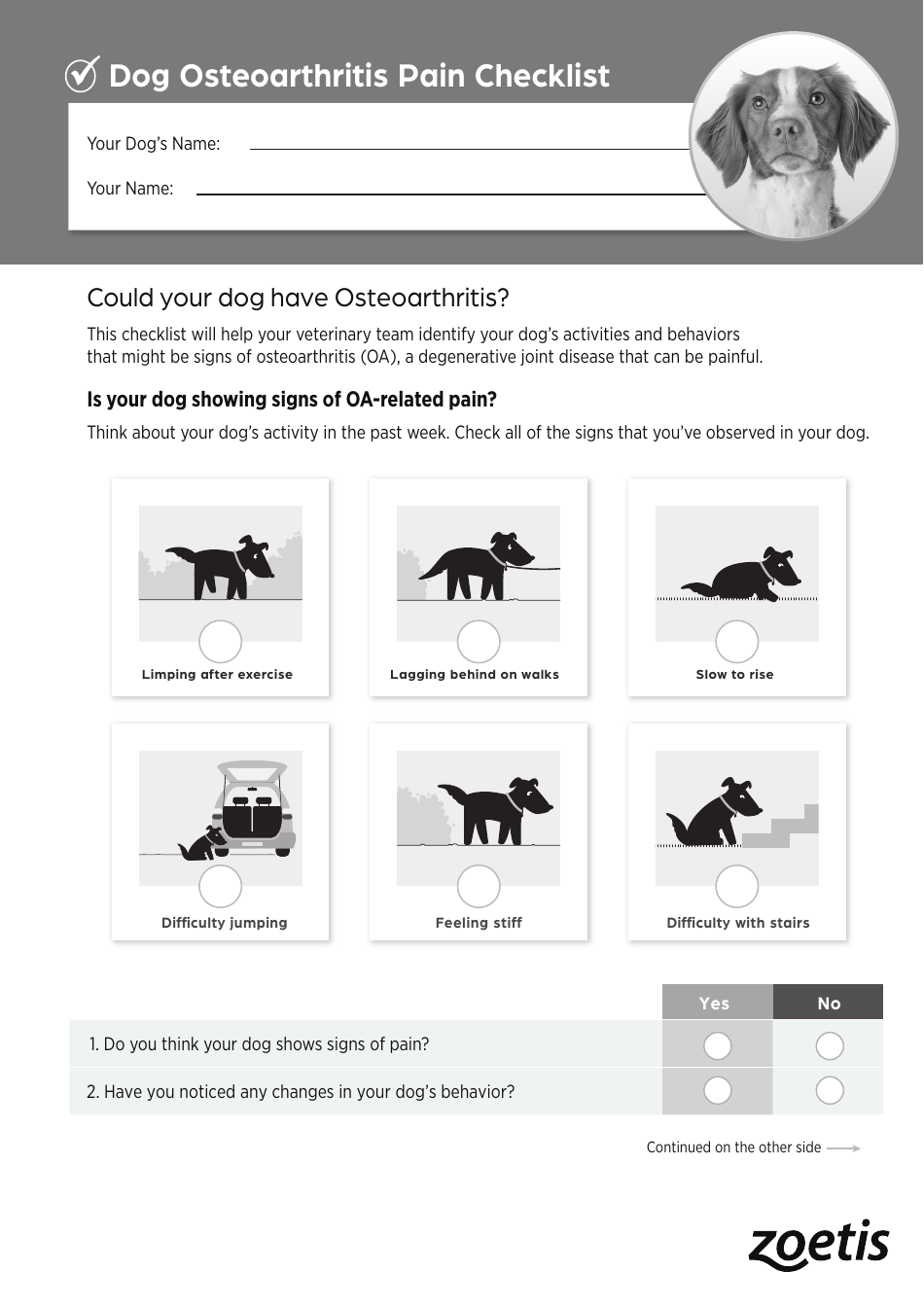 Dog Osteoarthritis Pain Checklist, Page 3