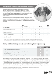 Dog Osteoarthritis Pain Checklist, Page 4