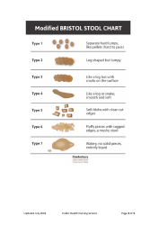 Bowel Motions (Poo Chart), Page 3