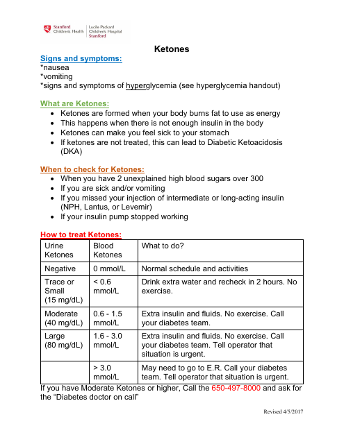Ketones Information Sheet Preview
