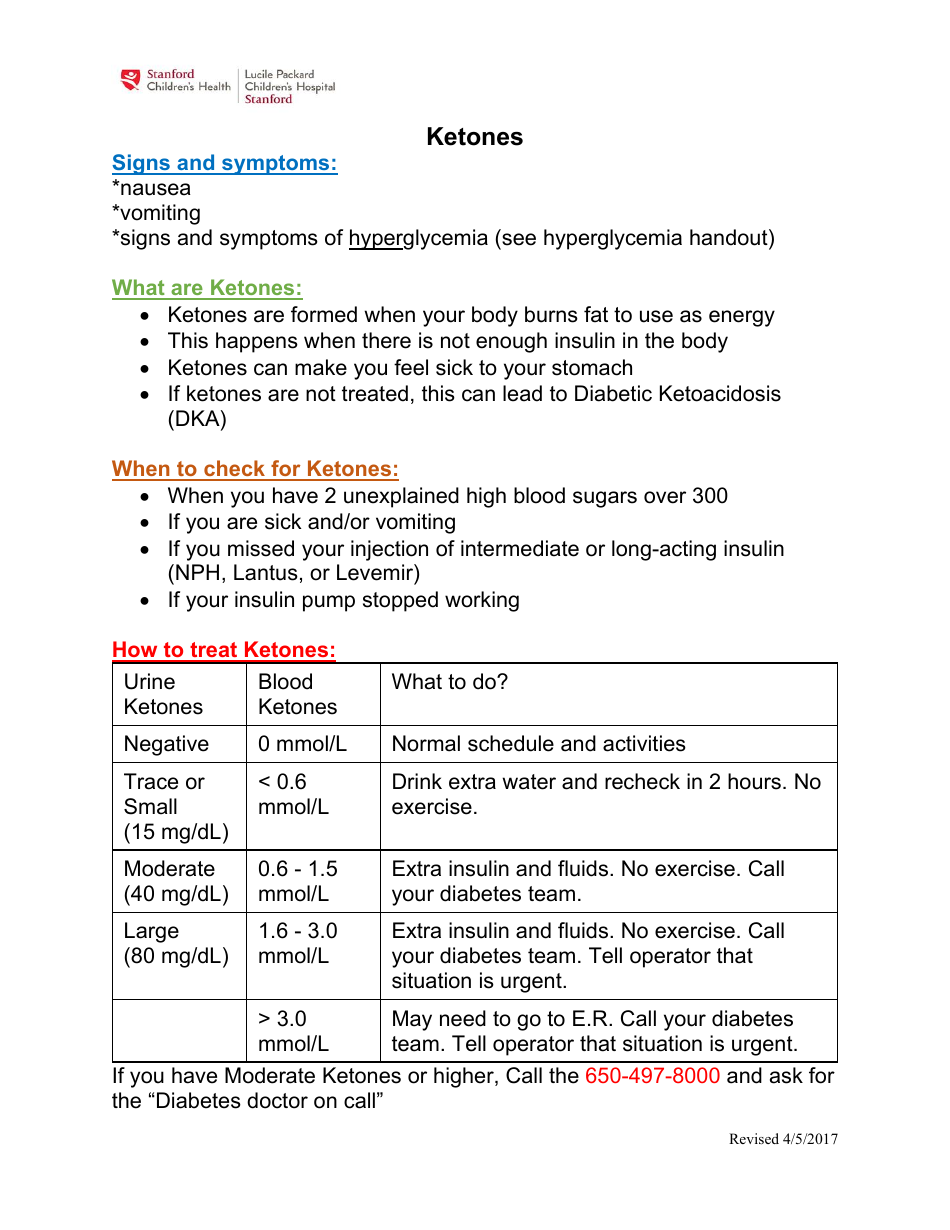 Ketones Information Sheet Preview