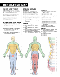 Document preview: Dermatome Map