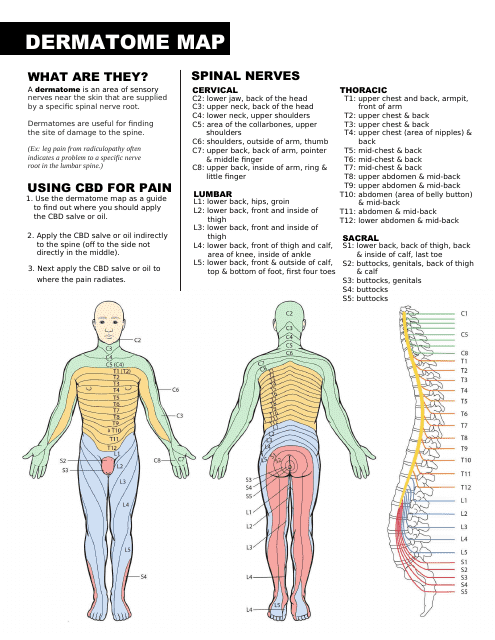 Dermatome Map - Complete Guide for Understanding Dermatomes within Human Body.