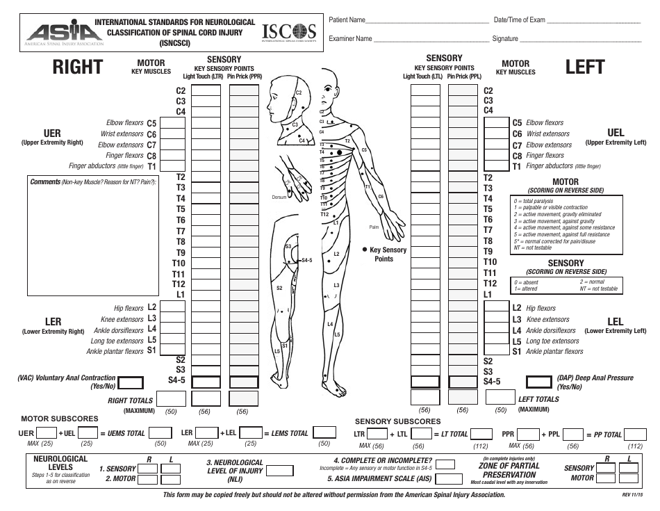 International Standards for Neurological Classification of Spinal Cord Injury (ISNCSCI) - Document Preview