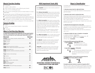 International Standards for Neurological Classification of Spinal Cord Injury (Isncsci), Page 2