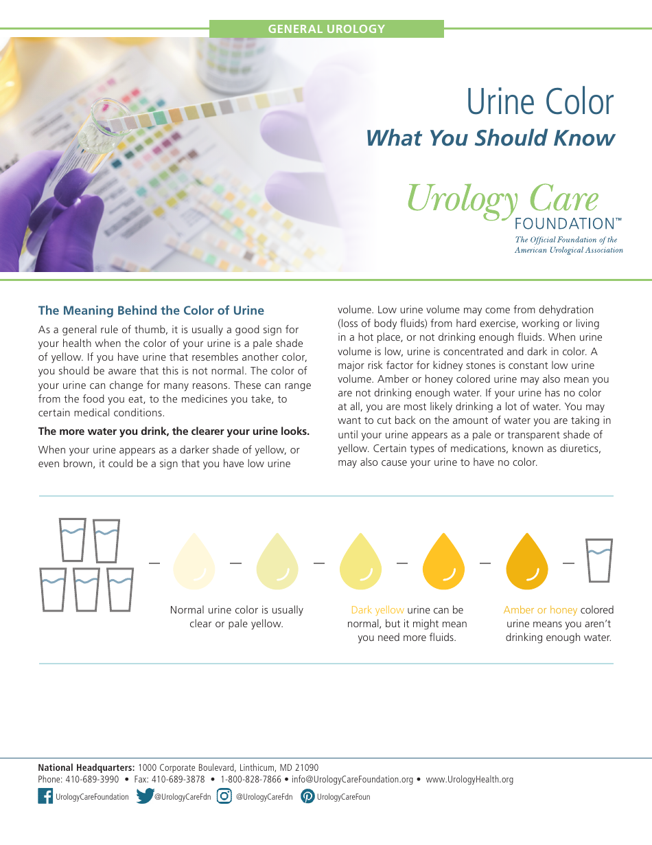 Urine Color Chart - Urology Care Foundation Download Printable PDF ...