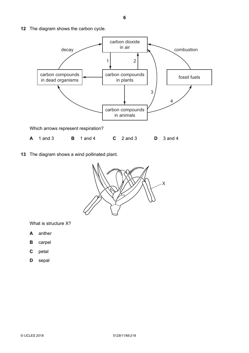 Cambridge International Examinations Cambridge Ordinary Level: Combined Science Paper 1 Multiple Choice, Page 6
