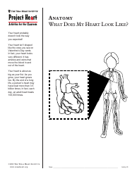 Grade 2 Anatomy Lesson Plan: Heart, Page 14