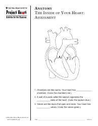 Grade 2 Anatomy Lesson Plan: Heart, Page 18
