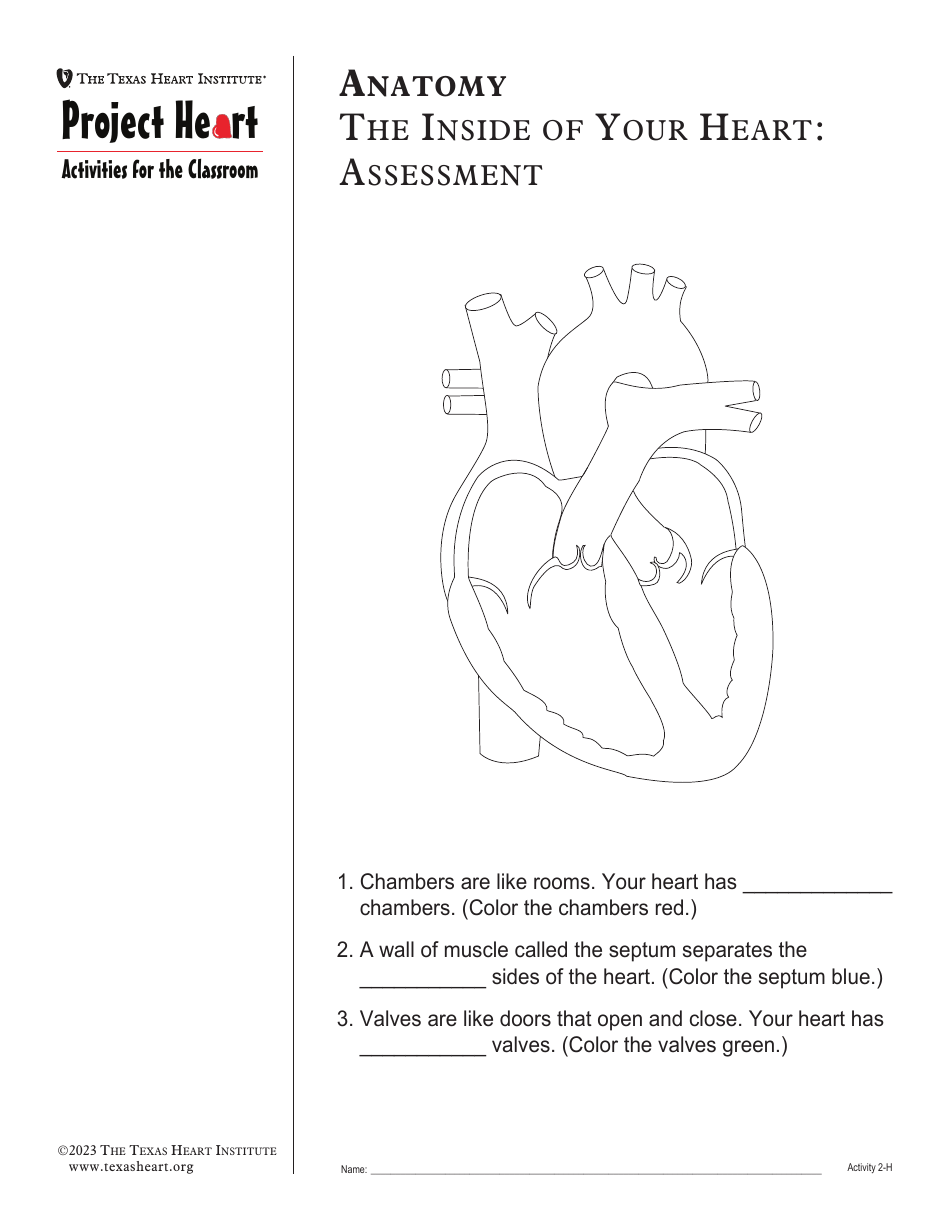 Grade 2 Anatomy Lesson Plan: Heart, Page 18