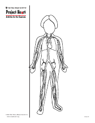 Grade 3 Anatomy Lesson Plan: Heart, Page 13