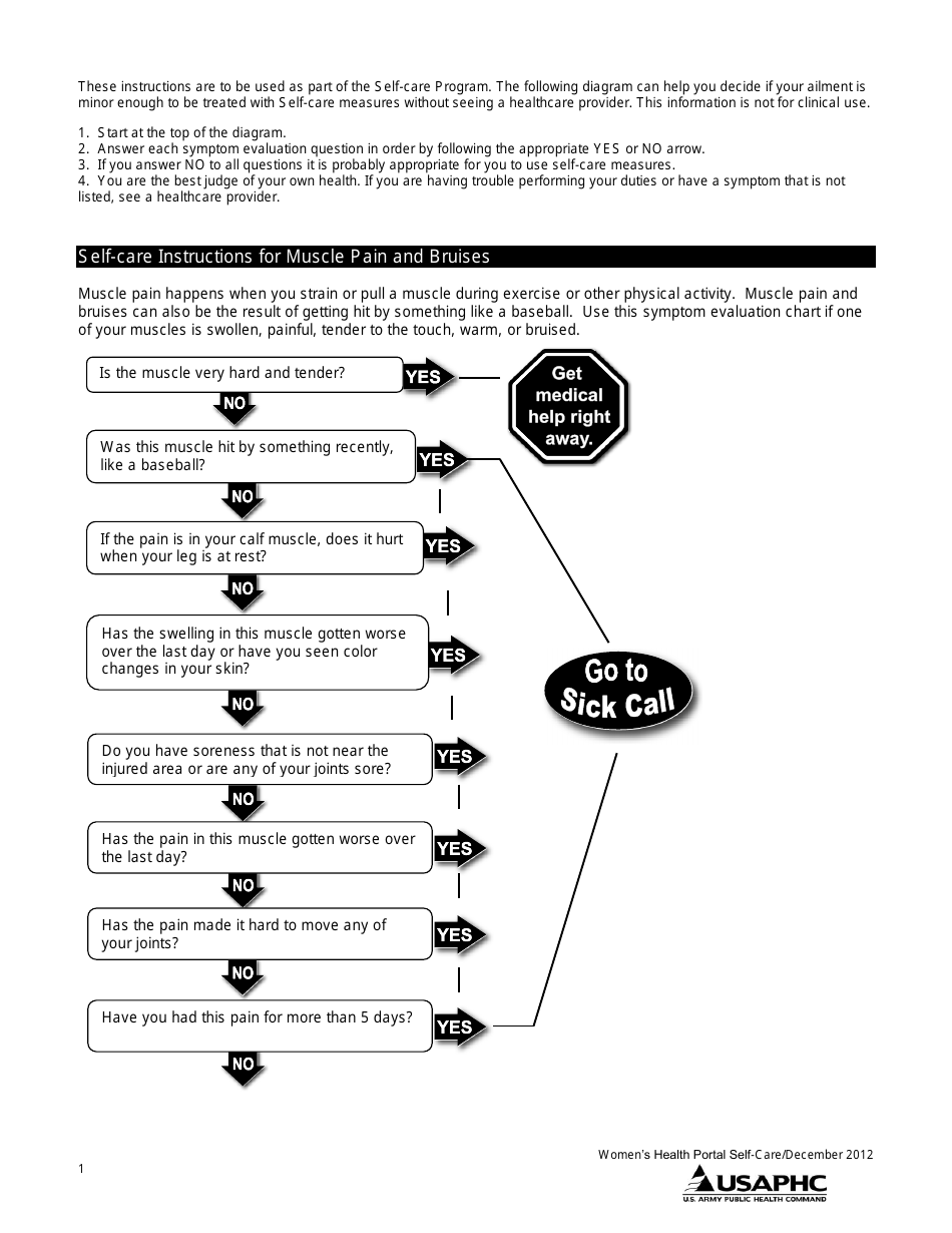 Muscle Pain and Bruises Selfcare Chart Download Printable PDF