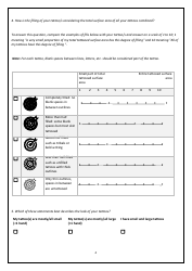 Epidemiological Tattoo Assessment Tool (Epitat), Page 4