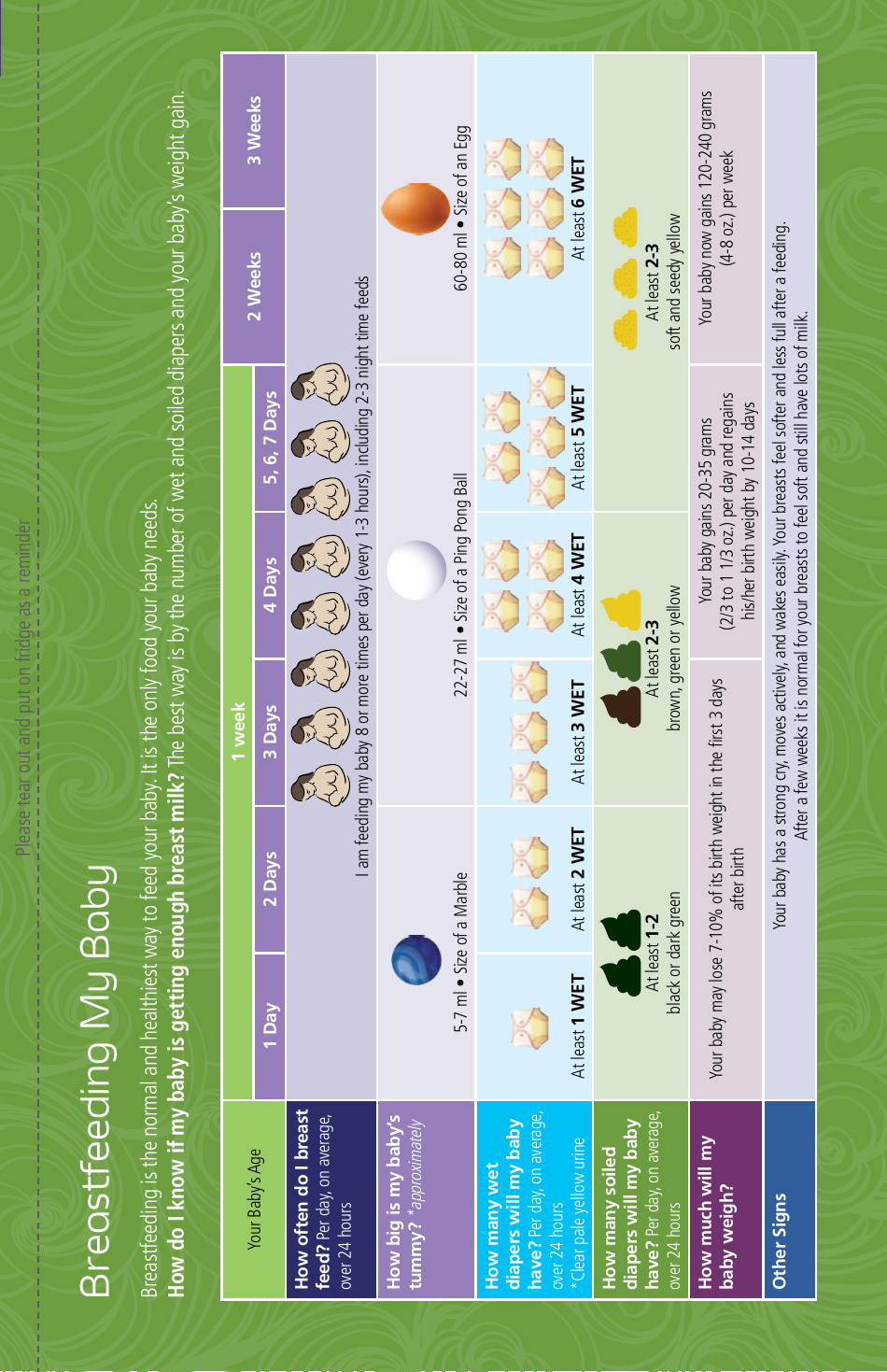Pregnancy Passport - British Columbia, Canada, Page 37