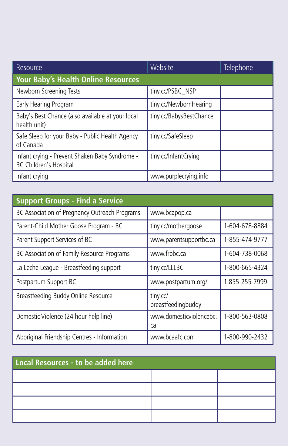 Pregnancy Passport - British Columbia, Canada, Page 39