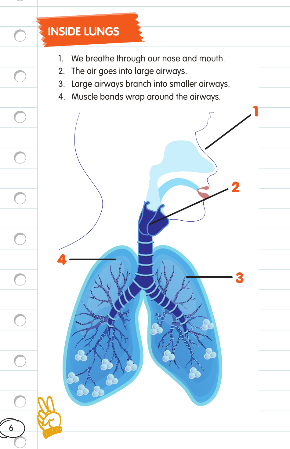 Childrens Asthma Booklet, Page 6