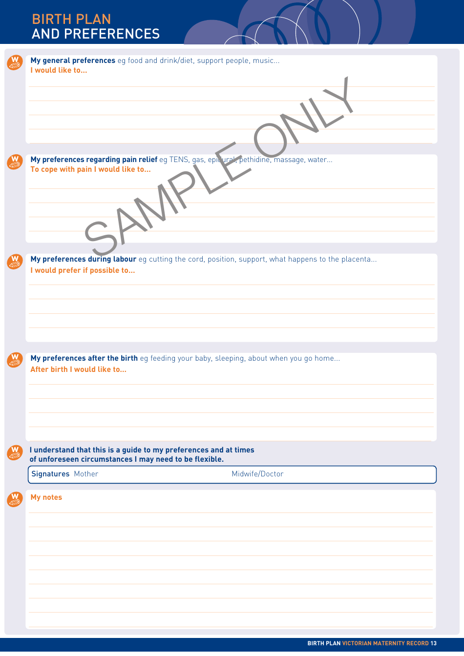 Maternity Record - Sample, Page 13