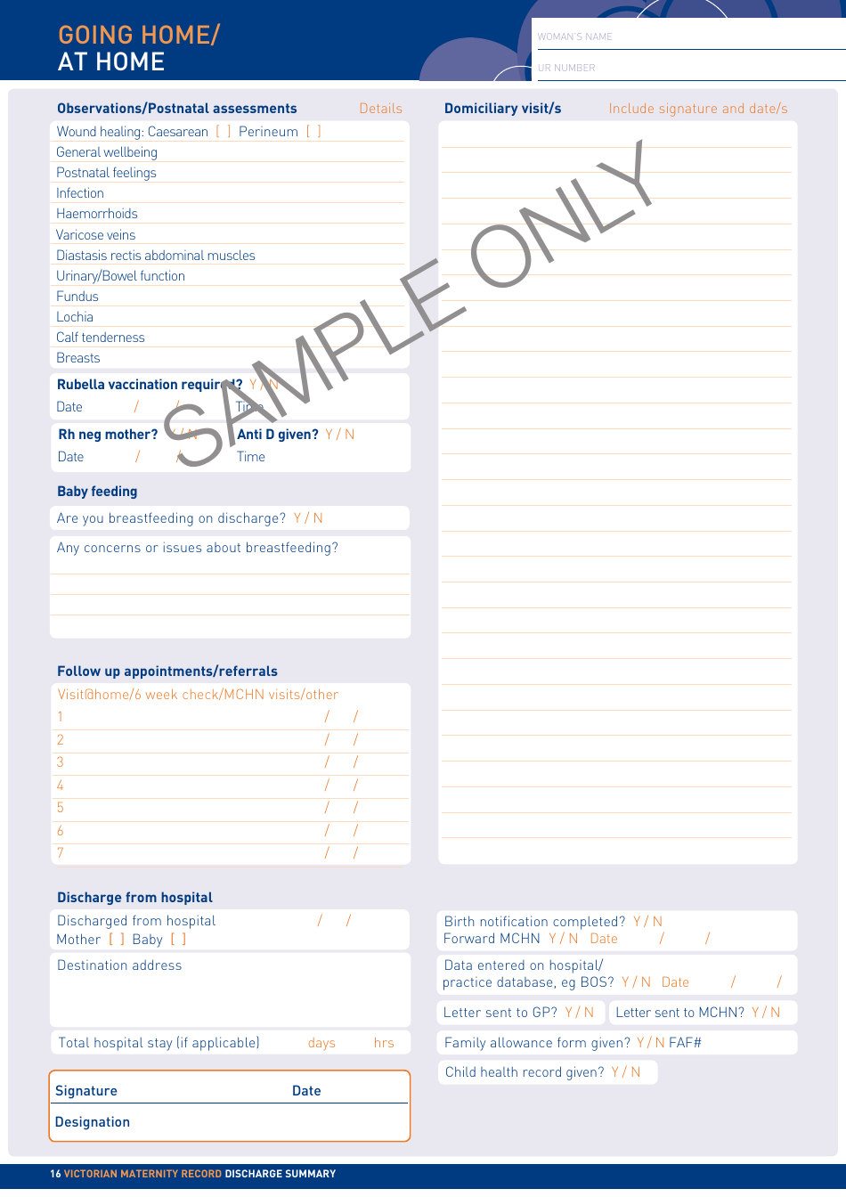 Maternity Record Sample Download Printable PDF Templateroller