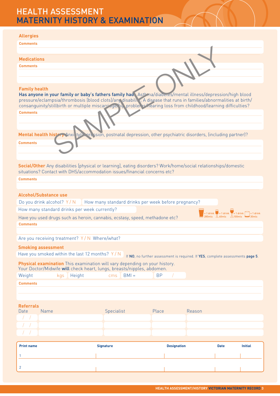 Maternity Record - Sample, Page 3