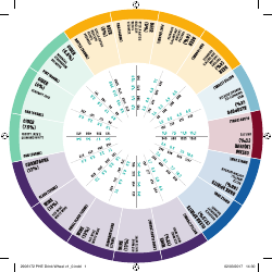 Document preview: Phe Drink Wheel