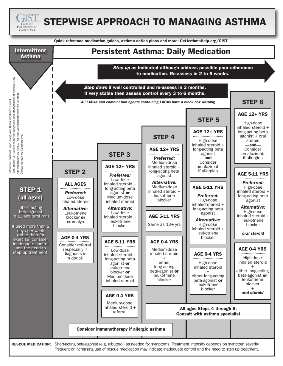 Persistent Asthma Daily Medication Chart Download Printable PDF ...