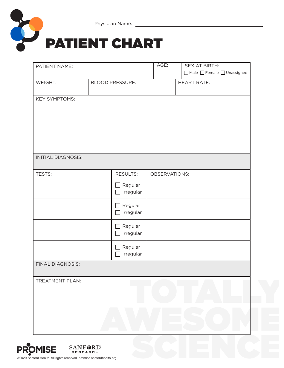 Patient Chart Template - A comprehensive and user-friendly document used to record and organise patient data.