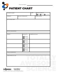 Document preview: Patient Chart