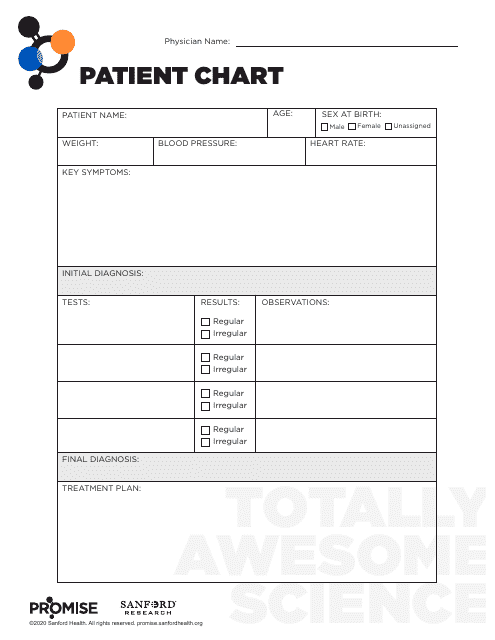 Patient Chart Template - A comprehensive and user-friendly document used to record and organise patient data.