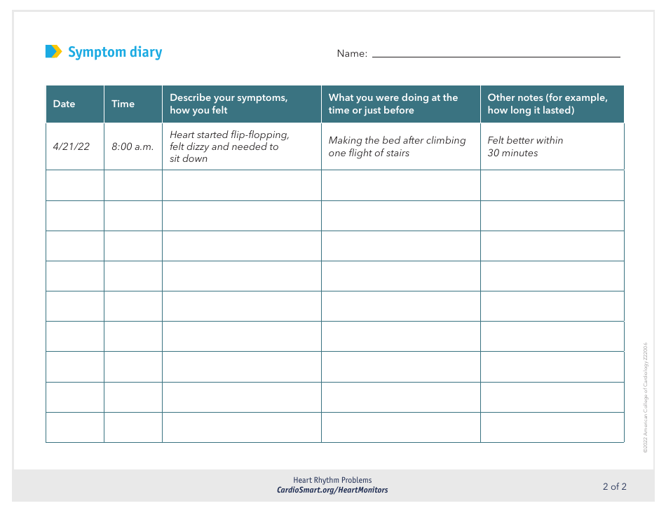 Symptom Diary, Page 2