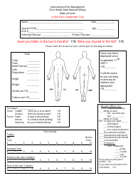 Document preview: Initial Pain Assessment Tool