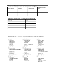 Initial Pain Assessment Tool, Page 3