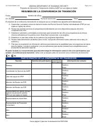 Formulario GCI-1033A-S Resumen De La Conferencia De Transicion - Arizona (Spanish)