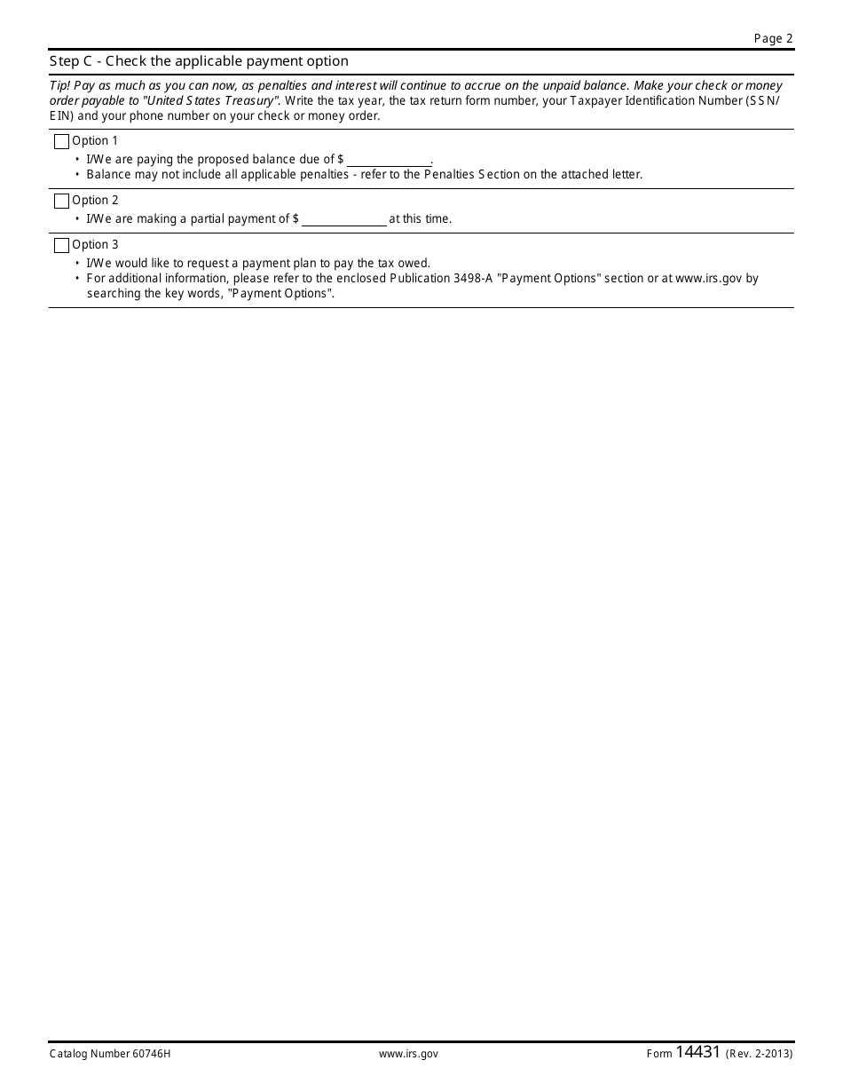 IRS Form 14431 Response to Proposed Adjustment(S), Page 2