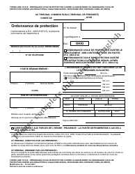 Document preview: Form 10.03-E Civil Stalking Protection Order or Civil Sexually Oriented Offense Protection Order Ex Parte - Ohio (French)