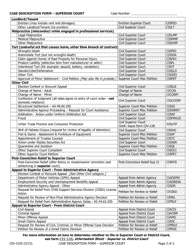 Form CIV-125S Case Description Form - Alaska, Page 2