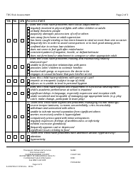 Therapeutic Behavioral Services Risk Assessment - San Bernardino County, California, Page 2