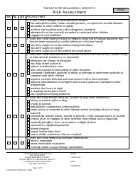 Document preview: Therapeutic Behavioral Services Risk Assessment - San Bernardino County, California